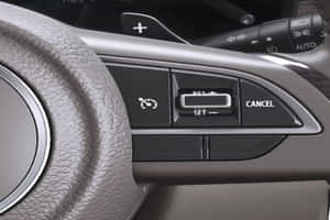 Ertiga Cruise Control Ertiga Cruise Control