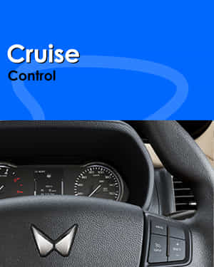 Bolero Neo Cruise Control