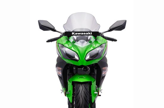Ninja 300 Dual Projector Headlight