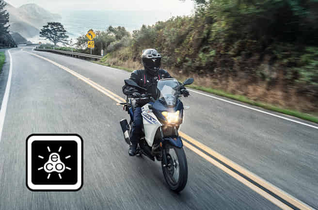 Kawasaki Versys-X 300 ECO Riding Indicator