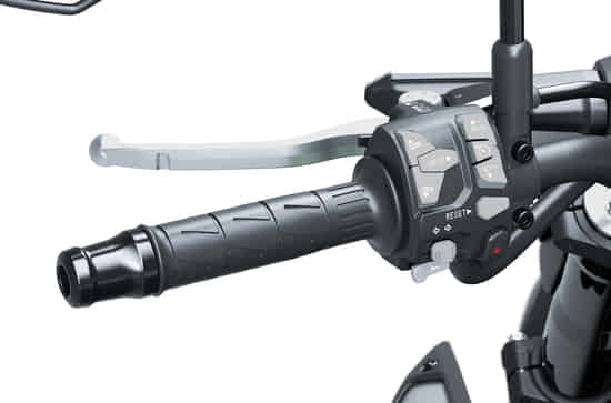 Z900 Electronic Cruise Control