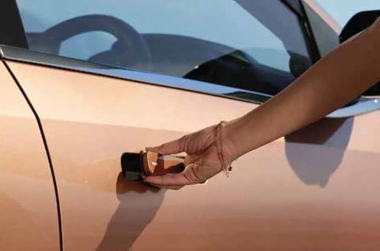 Curvv Flush Door Handles