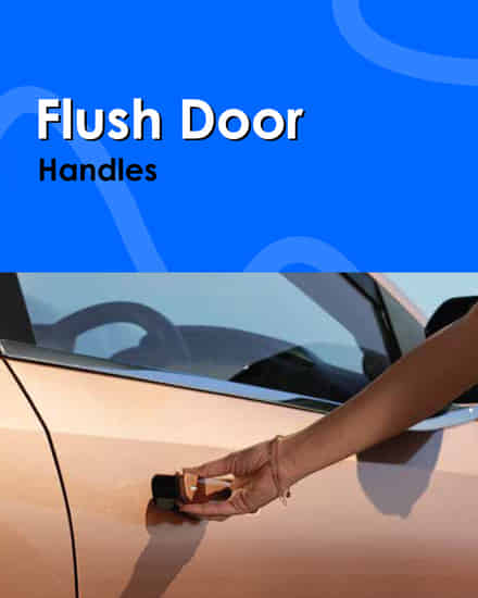 Tata Curvv Flush Door Handles