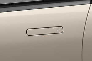 Altroz Flush door handles Altroz Flush door handles