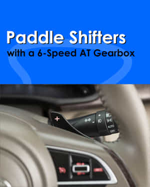 Rumion Paddle Shifters 