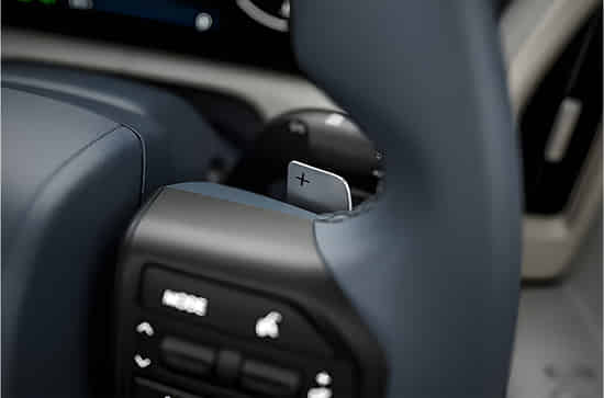 Venue Paddle Shifters