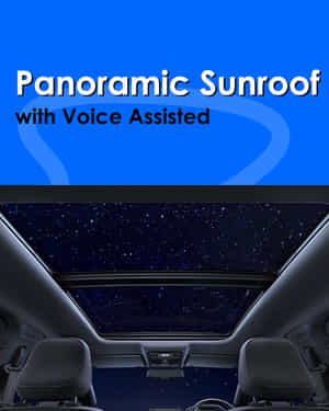 Nexon iCNG Panoramic Sunroof Nexon iCNG Panoramic Sunroof