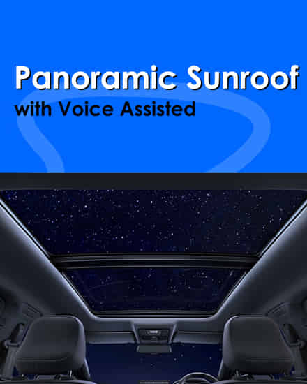 Tata Nexon iCNG Panoramic Sunroof