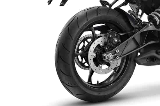 250 Duke Petal Disc Brakes