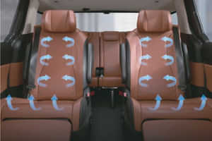 Carnival Powered 2nd row seats 