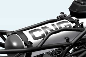 Freedom 125 Protective Trellis Frame Freedom 125 Protective Trellis Frame