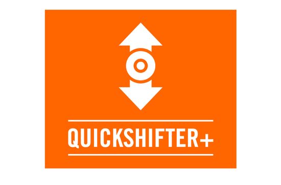 Adventure 250 Quickshifter+, Off Road ABS & More