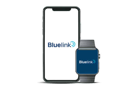 Hyundai Ioniq 5 Remote immobilisation via Hyundai Bluelink