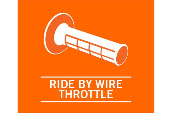 Adventure 250 Ride by Wire Throttle 