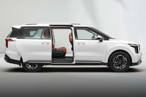 Carnival Smart Power Sliding Doors