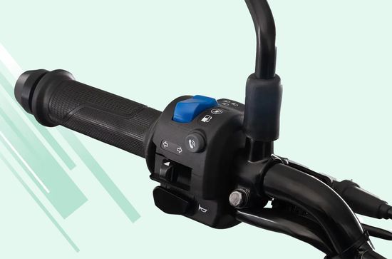 Freedom 125 Switches between petrol and CNG modes
