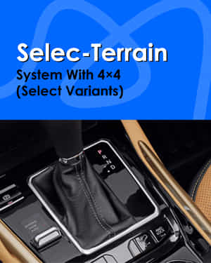 Meridian Terrain System