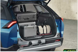 Victoris Underbody CNG Victoris Underbody CNG