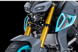 MT 15 V2 Upside Down (USD) Front Forks 