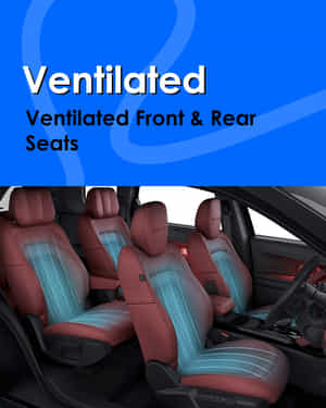 Safari Ventilated Front & Rear Seats