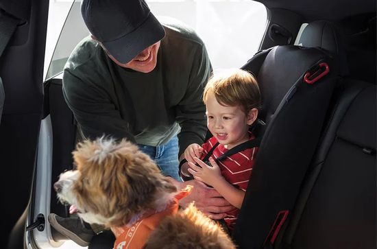 Model Y Premium Ventilated Seat