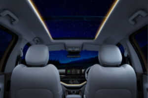 Safari Voice Assisted Panoramic Sunroof Safari Voice Assisted Panoramic Sunroof
