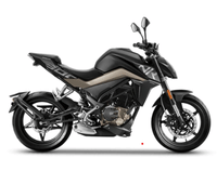 CF Moto 300 NK Black colour Bikes CF Moto 300 NK Black colour Bikes