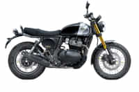 Royal Enfield Bear 650 Golden Shadow colour  Royal Enfield Bear 650 Golden Shadow colour