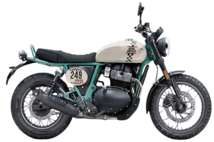 Bear 650 undefined in Two Four Nine