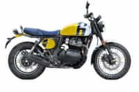 Royal Enfield Bear 650 Wild Honey colour  Royal Enfield Bear 650 Wild Honey colour