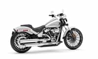 Harley-Davidson Breakout 117 White Onyx Pearl colour  Harley-Davidson Breakout 117 White Onyx Pearl colour