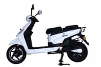 Quantum Energy Bziness White colour Scooters Quantum Energy Bziness White colour Scooters