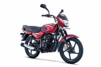 Bajaj CT 100 2004-2022 Gloss Flame Red With Bright Red Decals colour Bajaj CT 100 2004-2022 Gloss Flame Red With Bright Red Decals colour