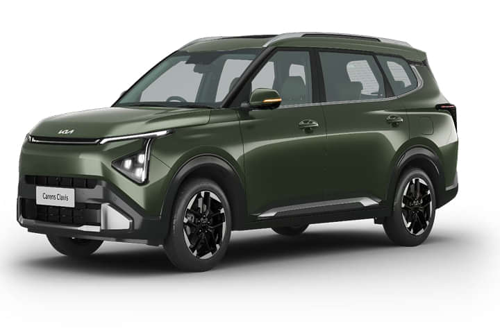 Pewter Olive