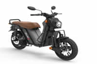BNC Challenger PANTHER BLACK colour Scooters