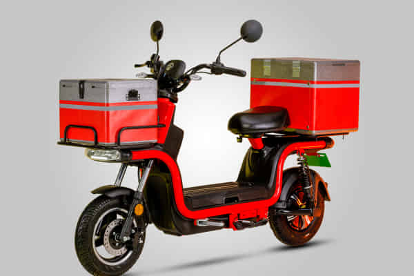 Connect in Bone Fire Red