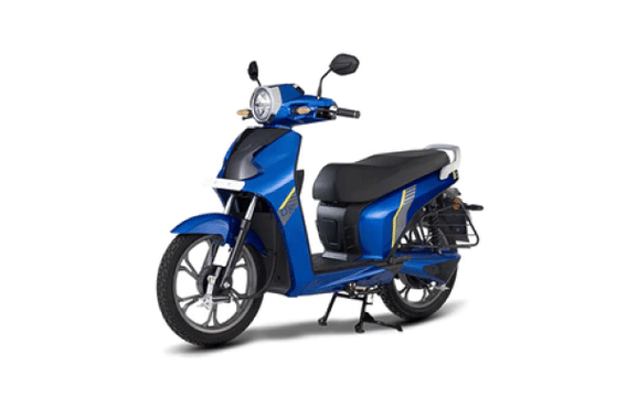 D15 2022-2025 in Blue D15 2022-2025 in Blue