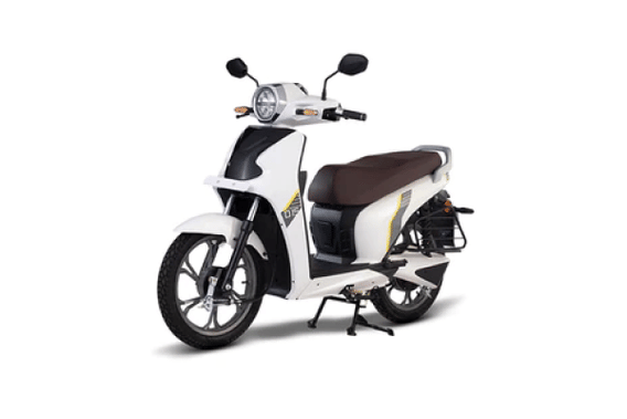 D15 2022-2025 in White D15 2022-2025 in White