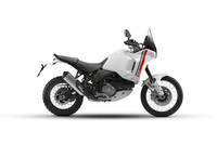 Ducati DesertX Star White Silk colour  Ducati DesertX Star White Silk colour