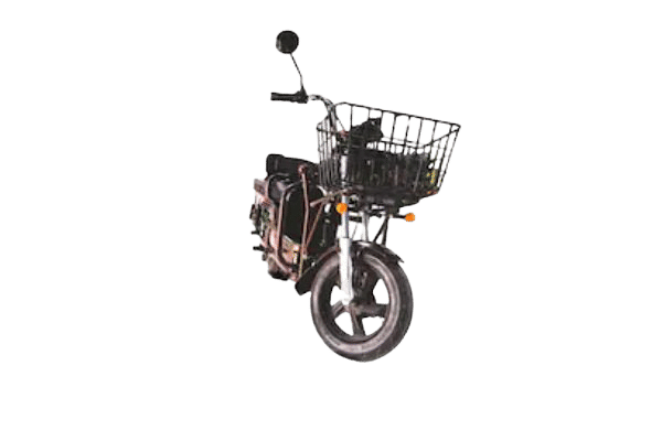 Evolet Dhanno in Black