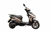 Deltic Drixx Brown colour Scooters Deltic Drixx Brown colour Scooters