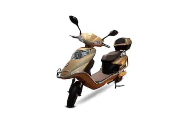 Eagle-100 (6.0) undefined in Brown