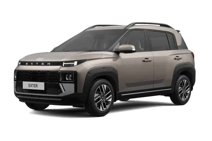 Exter undefined in Golden Bronze