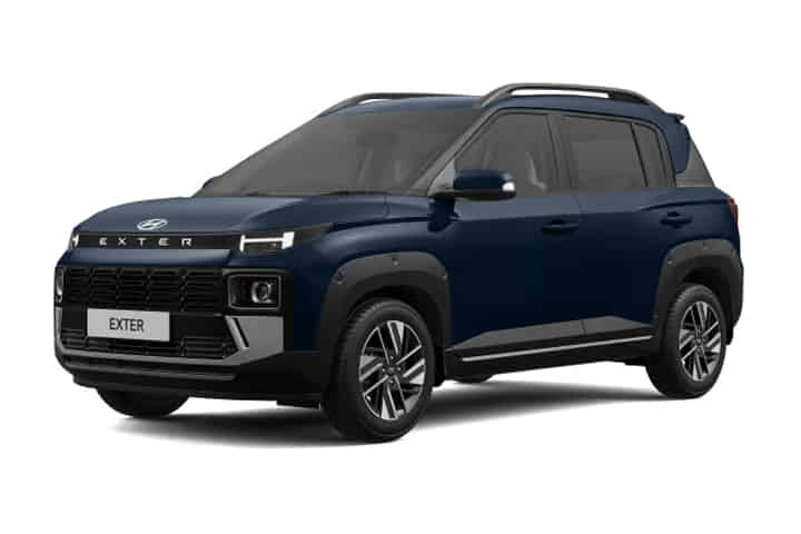 Exter in Starry Night 