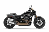 Harley-Davidson Fat Bob 114 BS6 Gray Haze colour Bikes Harley-Davidson Fat Bob 114 BS6 Gray Haze colour Bikes