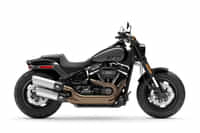 Harley-Davidson Fat Bob 114 BS6 Vivid Black colour Bikes Harley-Davidson Fat Bob 114 BS6 Vivid Black colour Bikes