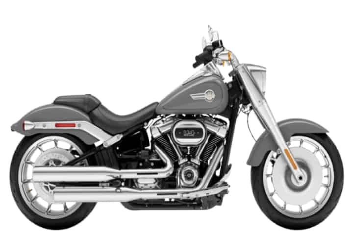 Harley-Davidson Fat Boy in  Billiard Gray