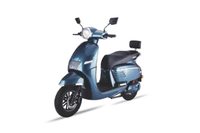 Komaki Flora Sacramento Green colour  Komaki Flora Sacramento Green colour