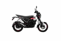 Bajaj Freedom 125 Cyber White colour  Bajaj Freedom 125 Cyber White colour