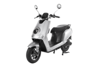 Joy E-bike Glob Silver colour 